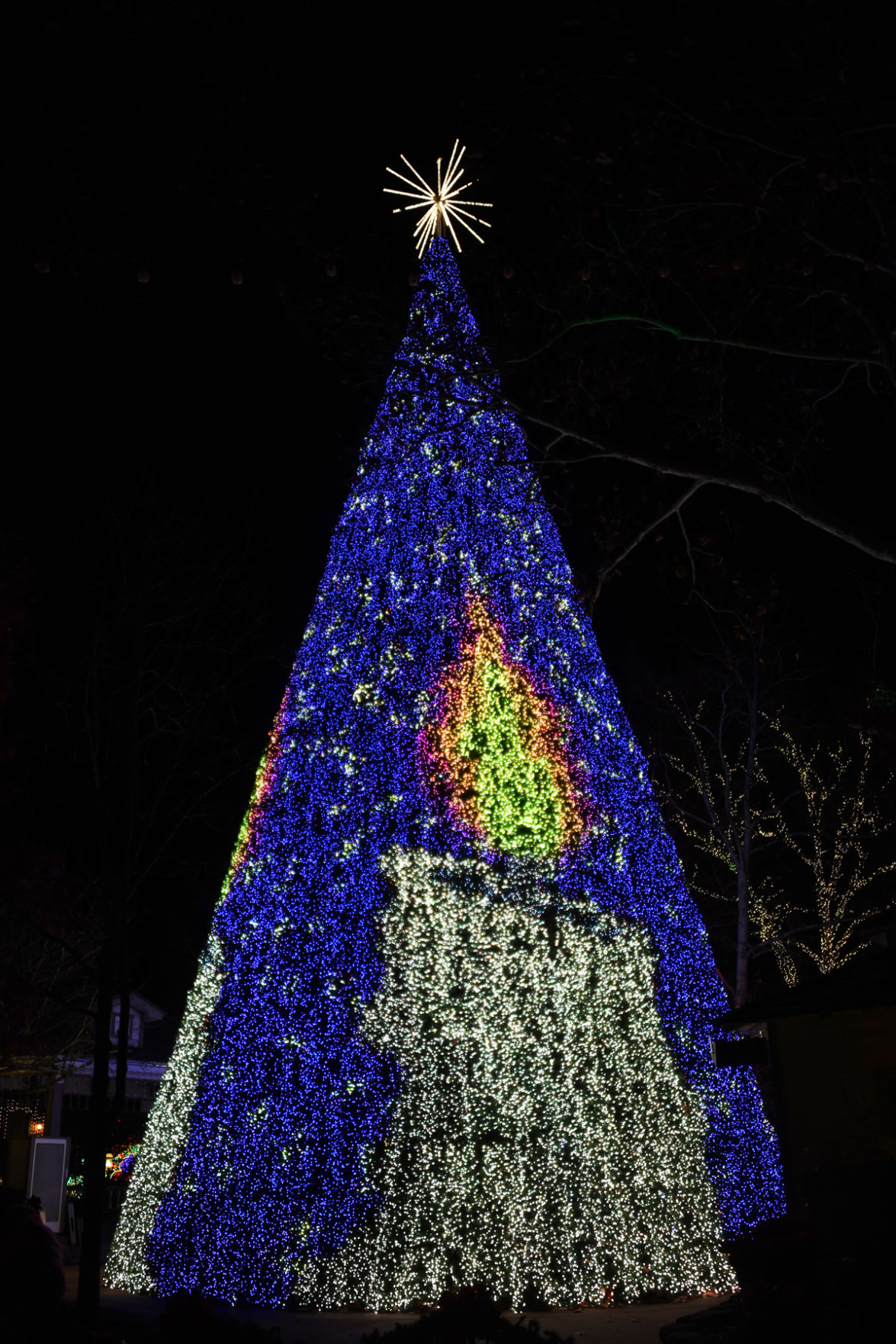 153 The 80-foot tree at Silver Dollar City.jpg